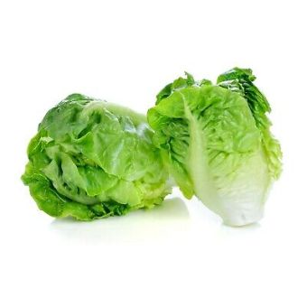 Lettuce- (L.P.C) 1xBox01